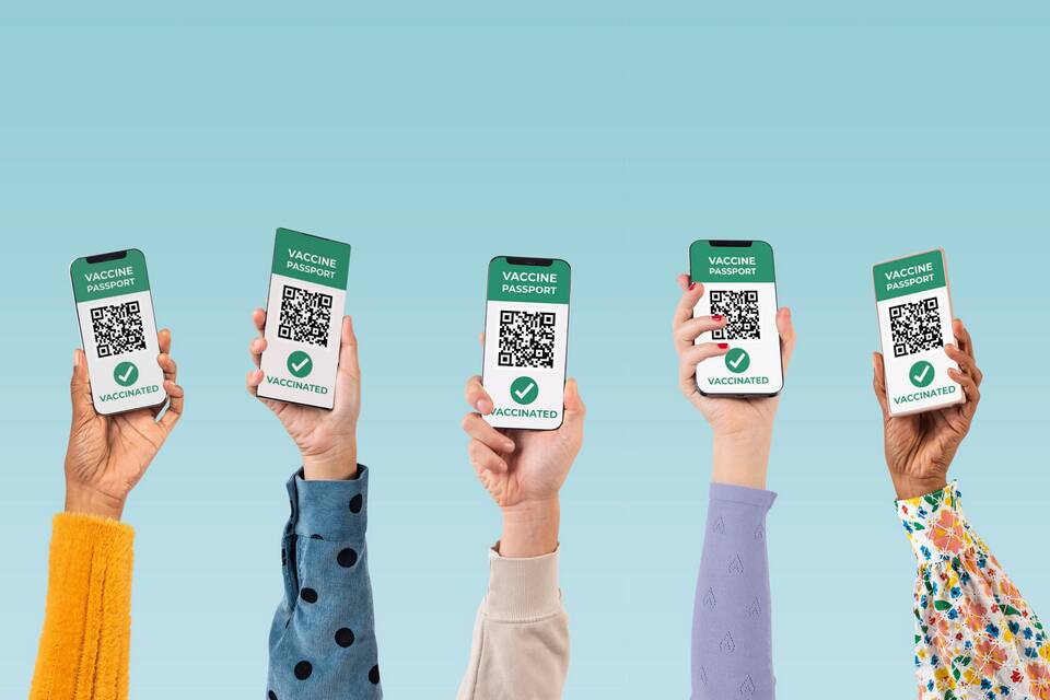 Как сгенерировать QR-код в сервисах Яндекса