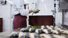 Азбука Вкуса тест: проверка качества продуктов в Глория Джинс
