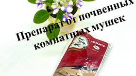 Чем вывести мошек из цветов в Глория Джинс
