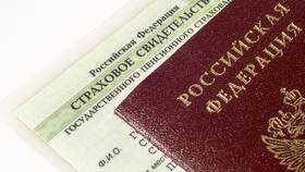 Электронный СНИЛС: что делать, когда просят бумагу в Глория Джинс