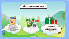 Как использовать бонусы 