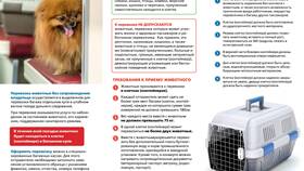 Как купить билет для собаки в приложении РЖД в Глория Джинс