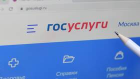 Как подать отчет через портал Госуслуги в Глория Джинс