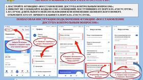 Как создать учетную запись на Госуслугах в 14 лет: пошаговая инструкция в Глория Джинс