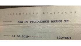 На что выдается паспорт в Глория Джинс