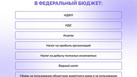 Почему нужны налоги в Глория Джинс