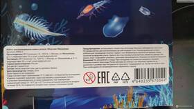 Продолжительность жизни морских обезьянок из Fix Price в Глория Джинс