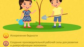 С чего лучше начинать инвестиции в Глория Джинс