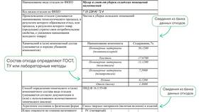 С чем приходить за паспортом: полный список документов в Глория Джинс