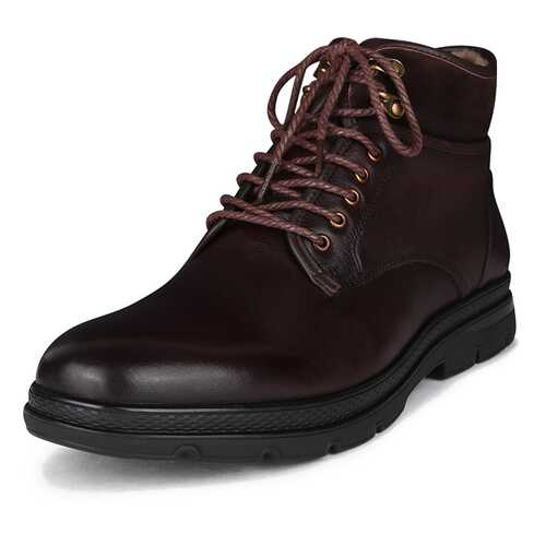 Ботинки мужские Pierre Cardin 26107010 коричневые 42 RU в Глория Джинс