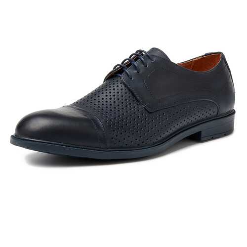 Туфли мужские Alessio Nesca M6118004 синие 39 RU в Глория Джинс