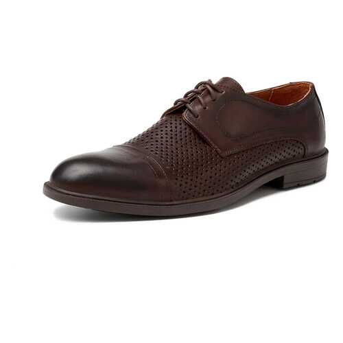 Туфли мужские Alessio Nesca M6118005 коричневые 41 RU в Глория Джинс