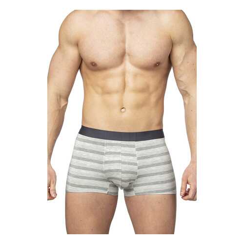 Трусы мужские SERGIO DALLINI SD2902 серые L в Глория Джинс